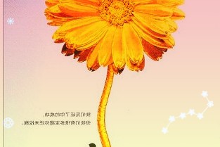 AI赋能成看点传媒领域公司遭机构“刨根问底”